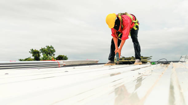 Best Storm Damage Roof Repair  in Donna, TX