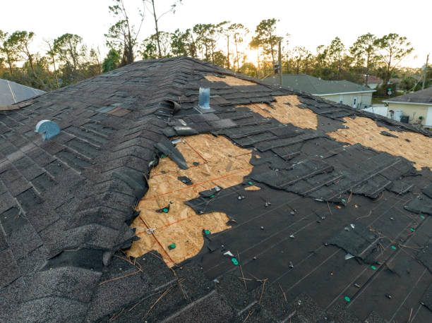 Best Metal Roofing Installation  in Donna, TX